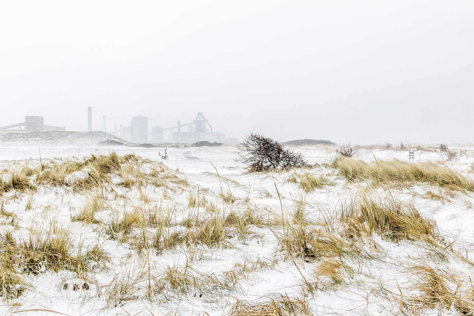 Canon EOS 7D Mark II sample photo. Beast from the east 2 photography