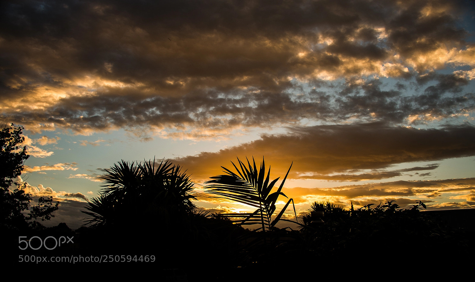 Nikon D4 sample photo. New zealand sunset photography