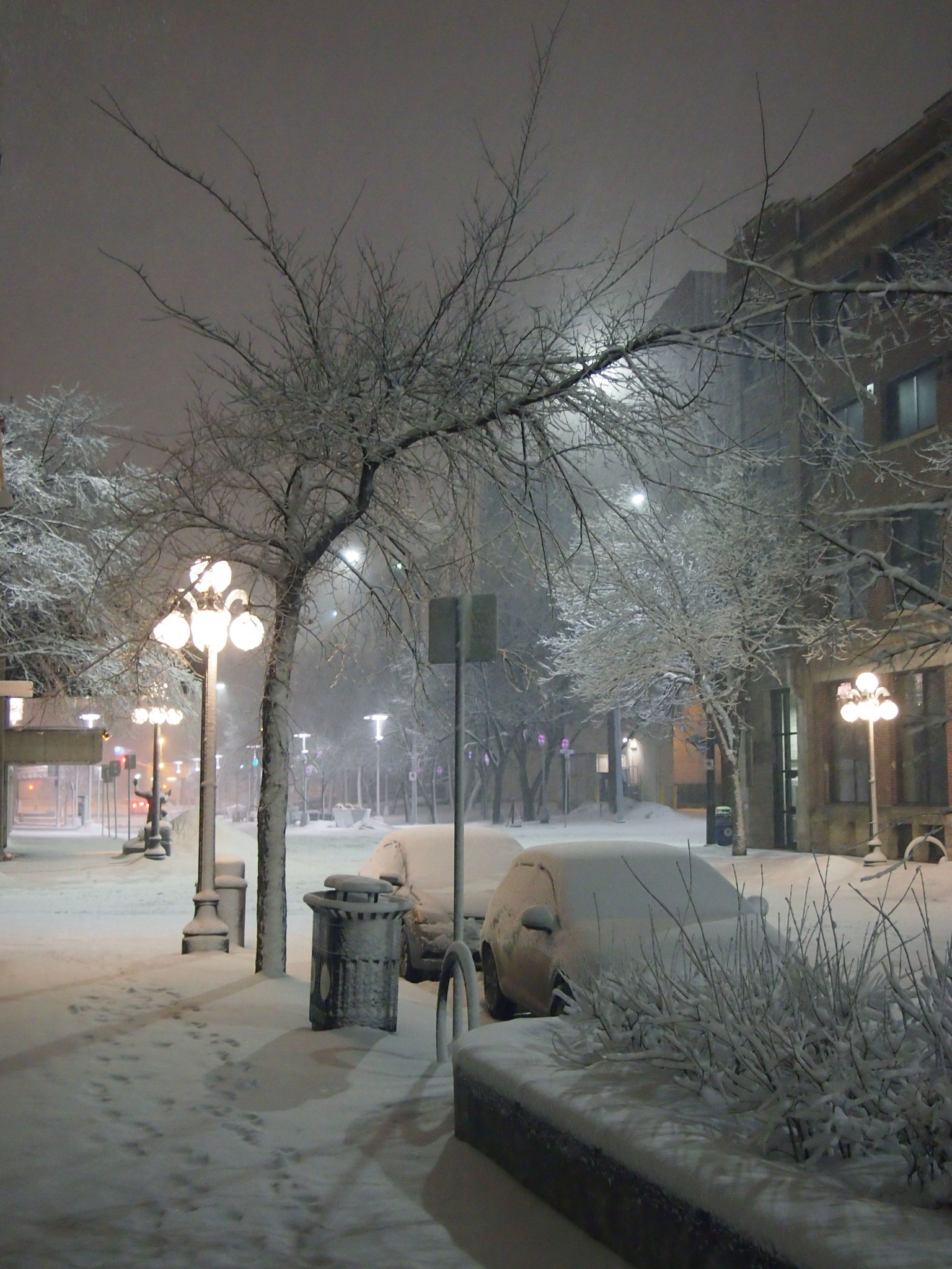 Olympus PEN E-PM1 sample photo. Market blizzard photography