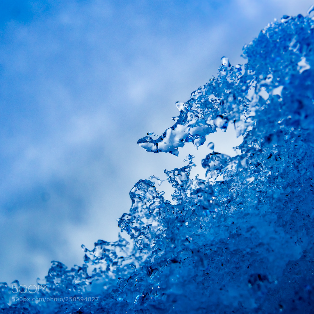 Olympus OM-D E-M5 II sample photo. Icy dinosaur photography