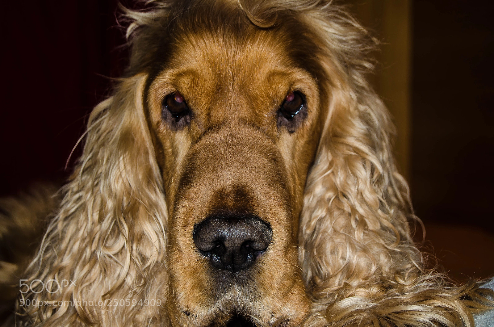 Nikon D7000 sample photo. Untitled photography
