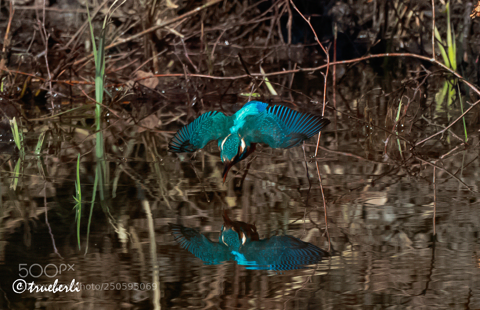 Canon EOS 7D Mark II sample photo. Reflection photography