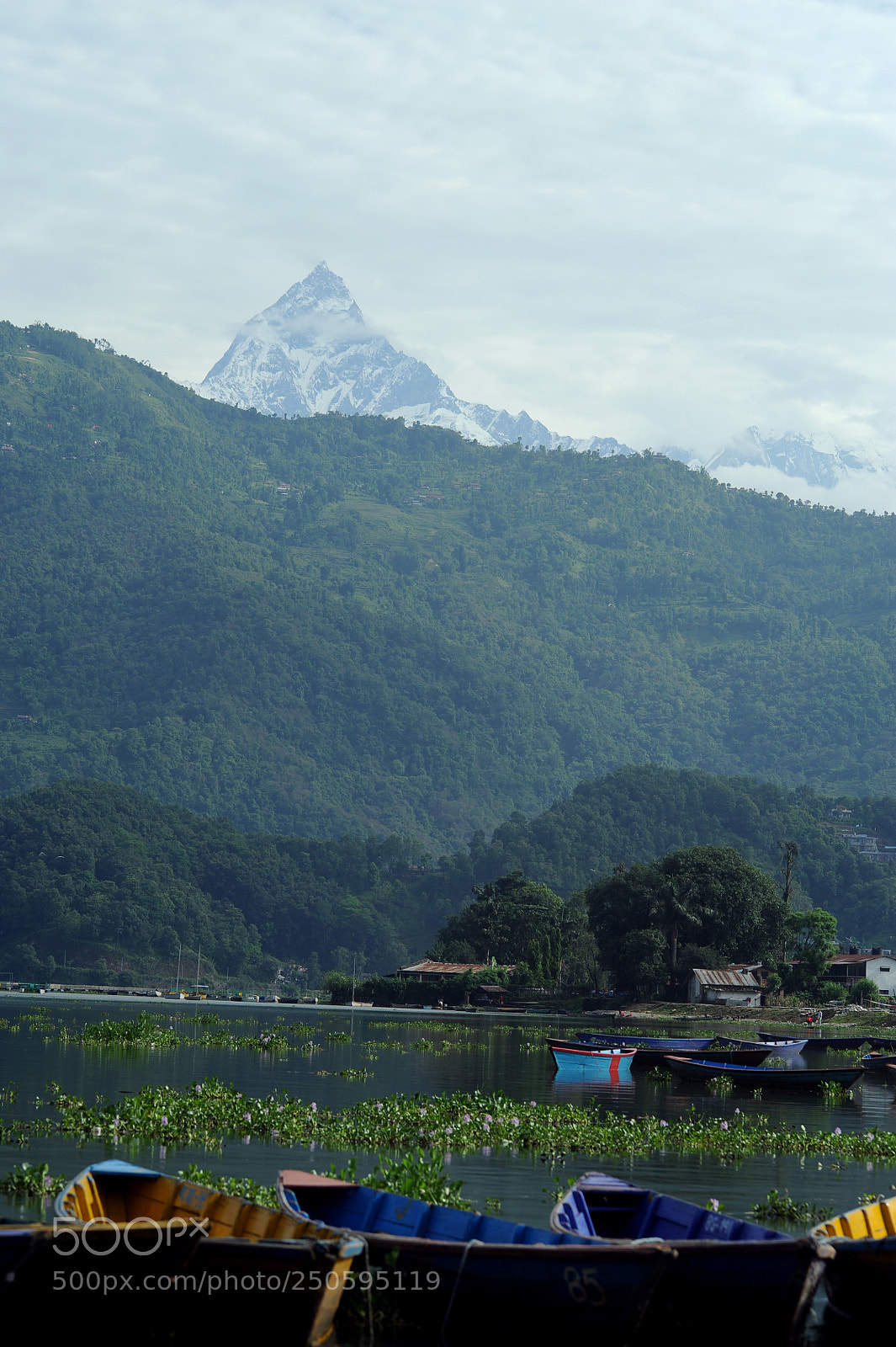 Nikon D700 sample photo. Himalayan range_6 photography