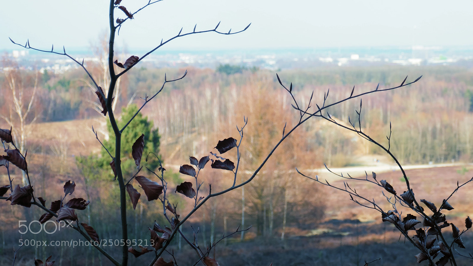 Panasonic Lumix DMC-ZS100 (Lumix DMC-TZ100) sample photo. Room with a view photography