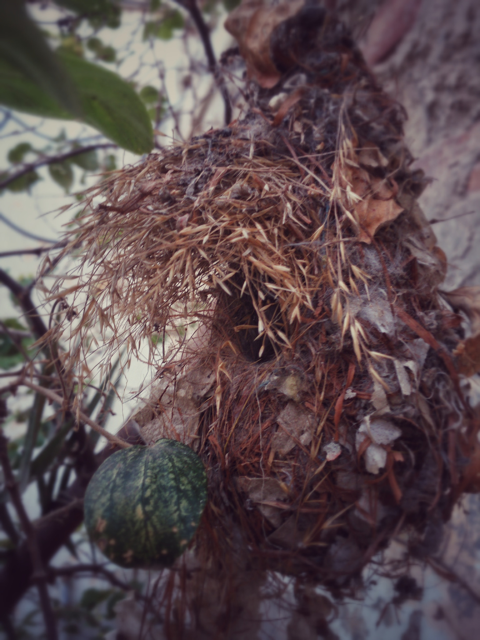Sony Xperia Z sample photo. Home photography