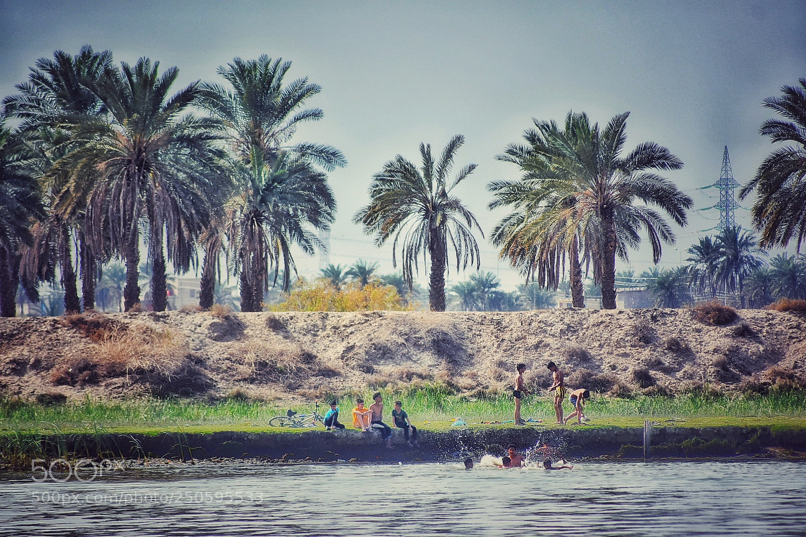 Nikon D5500 sample photo. Untitled photography