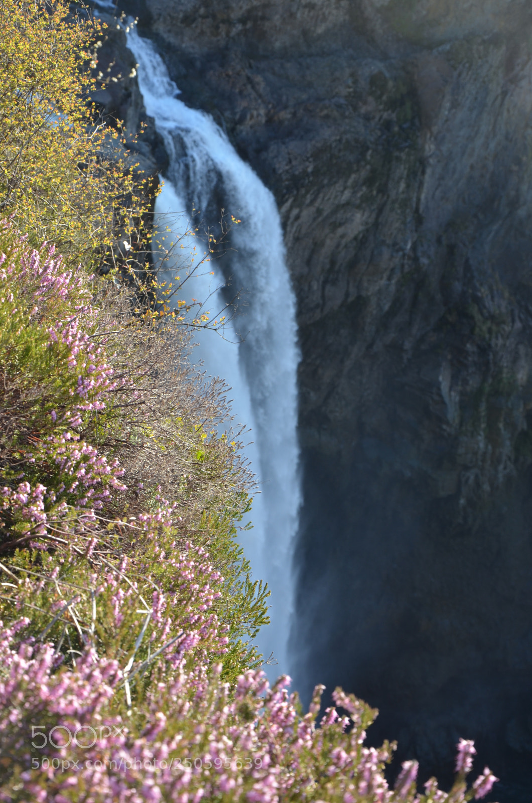 Nikon D7000 sample photo. Snoqualmie falls in spring photography