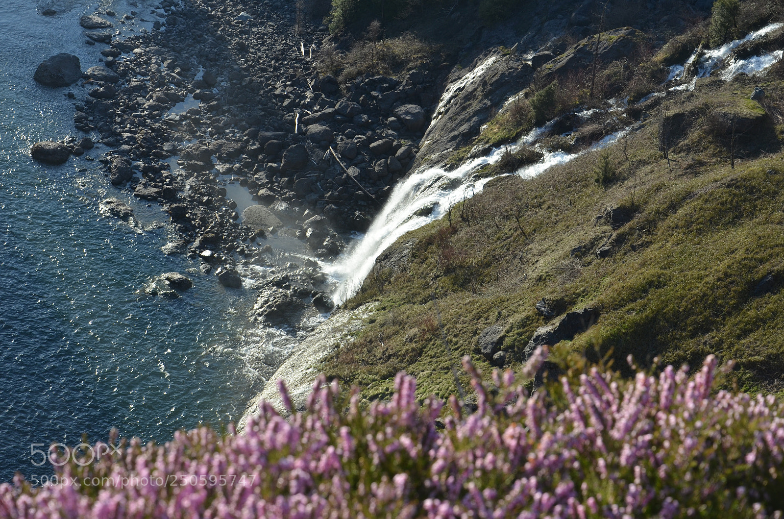 Nikon D7000 sample photo. Snoqualmie falls in spring photography