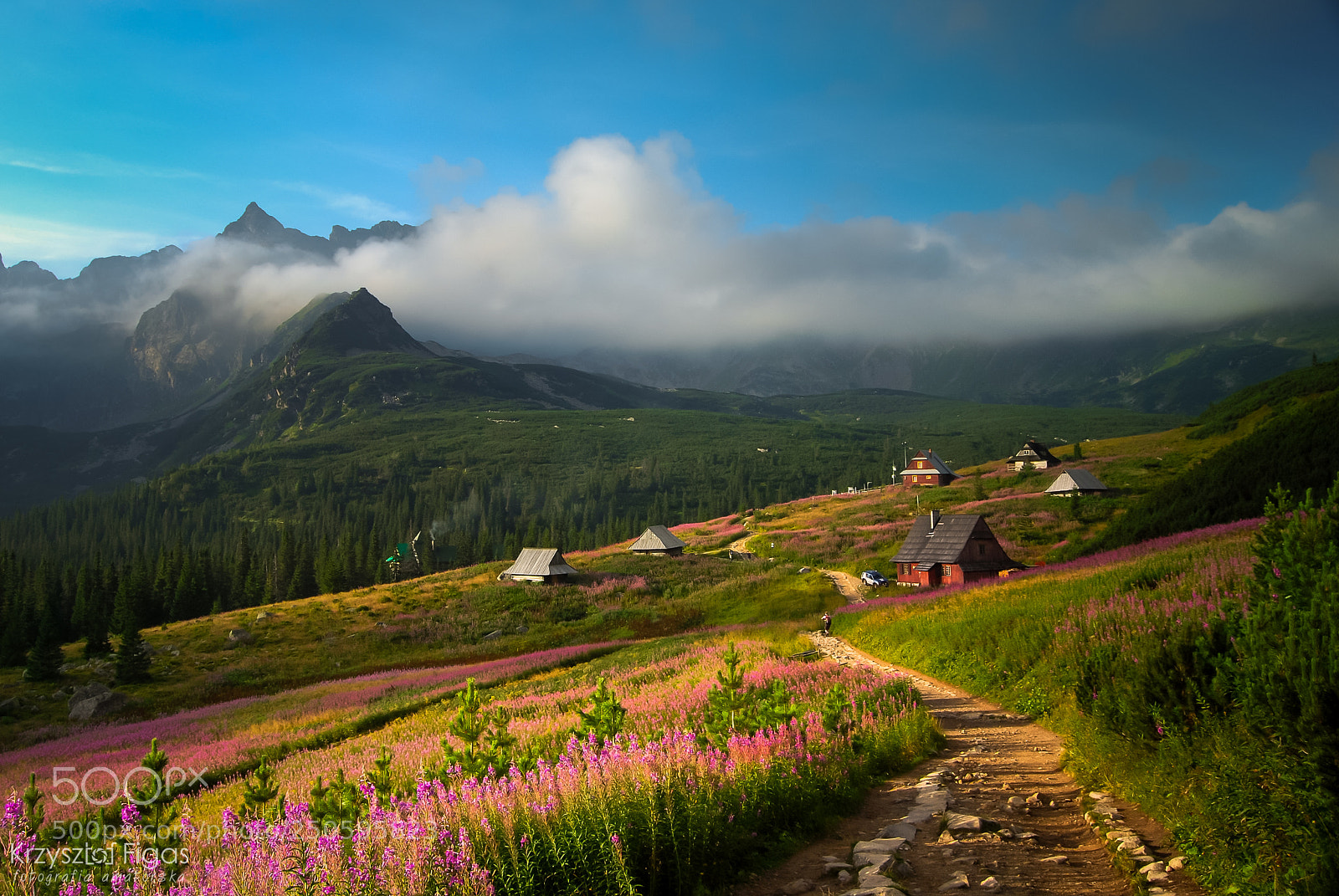 Nikon D40X sample photo. Lovely mountains photography