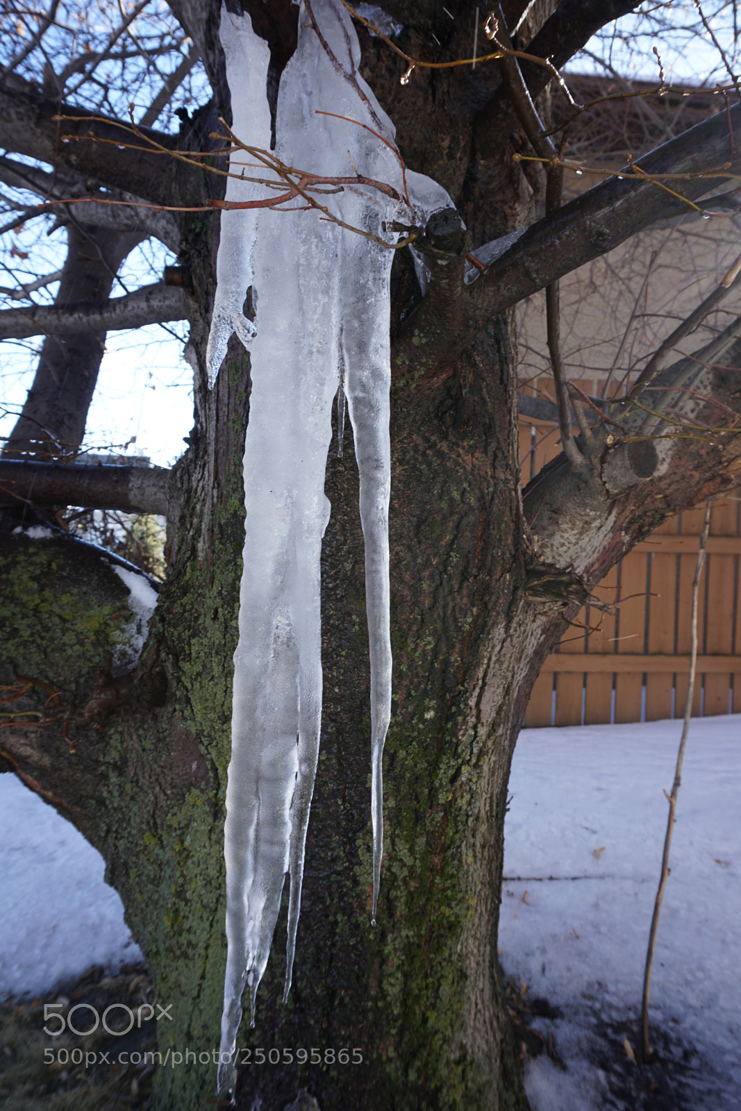 Sony a6000 sample photo. Frozen for now photography