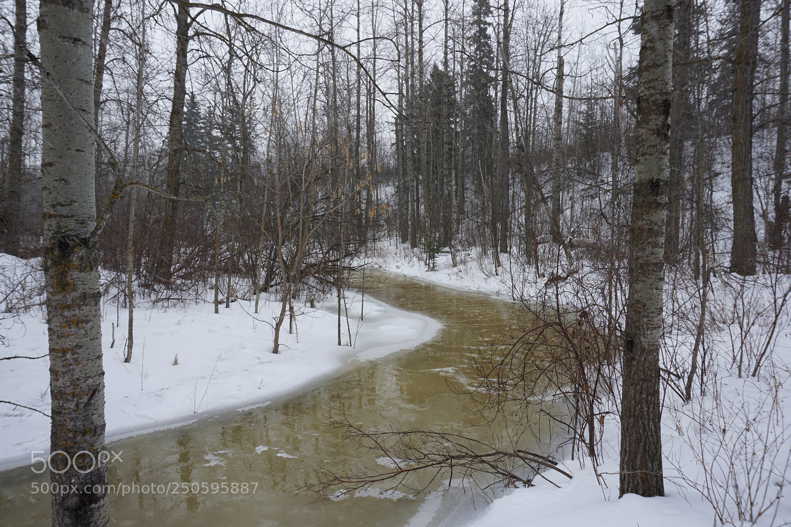 Sony a6000 sample photo. Starting to thaw photography