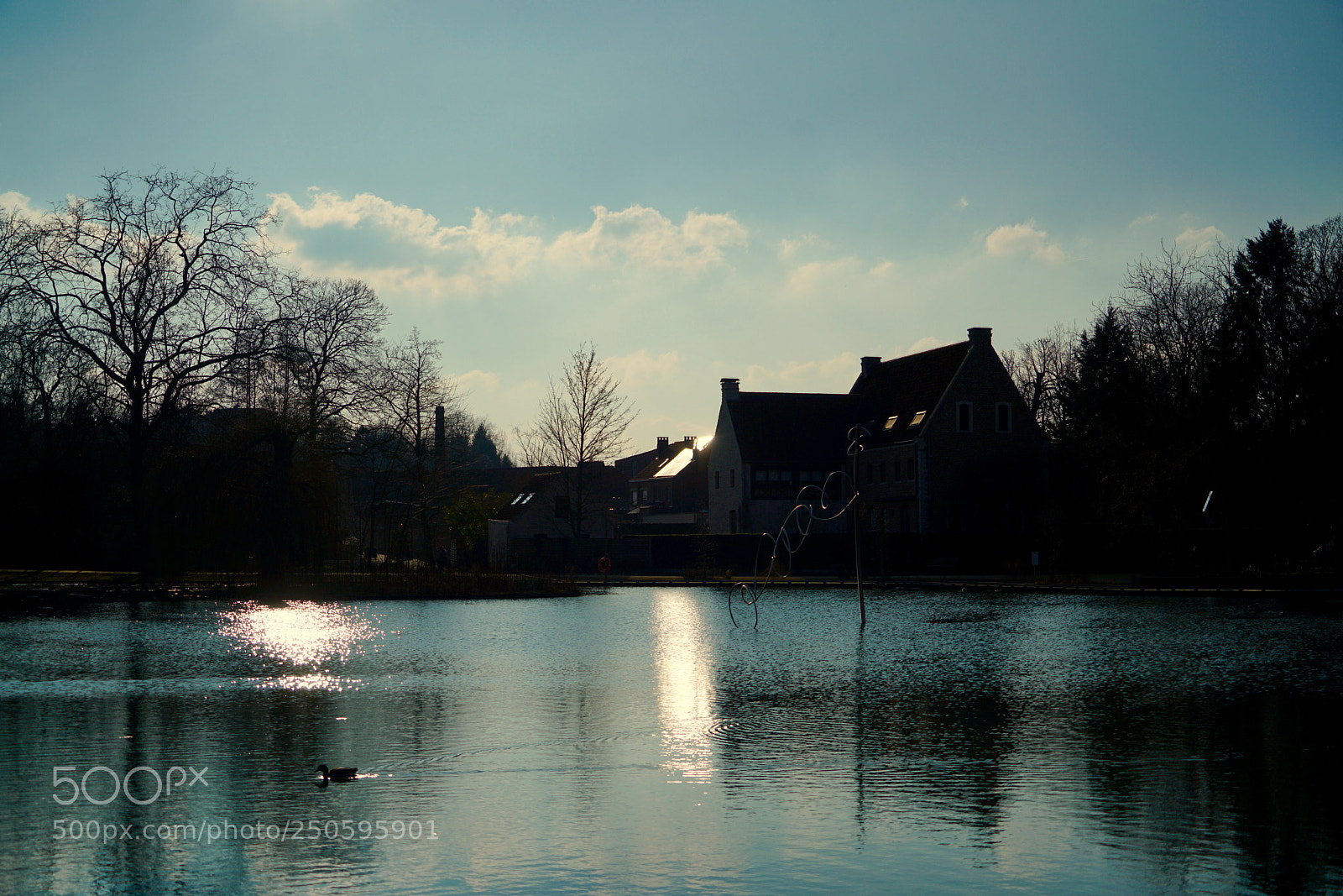Sony a7R II sample photo. Untitled photography