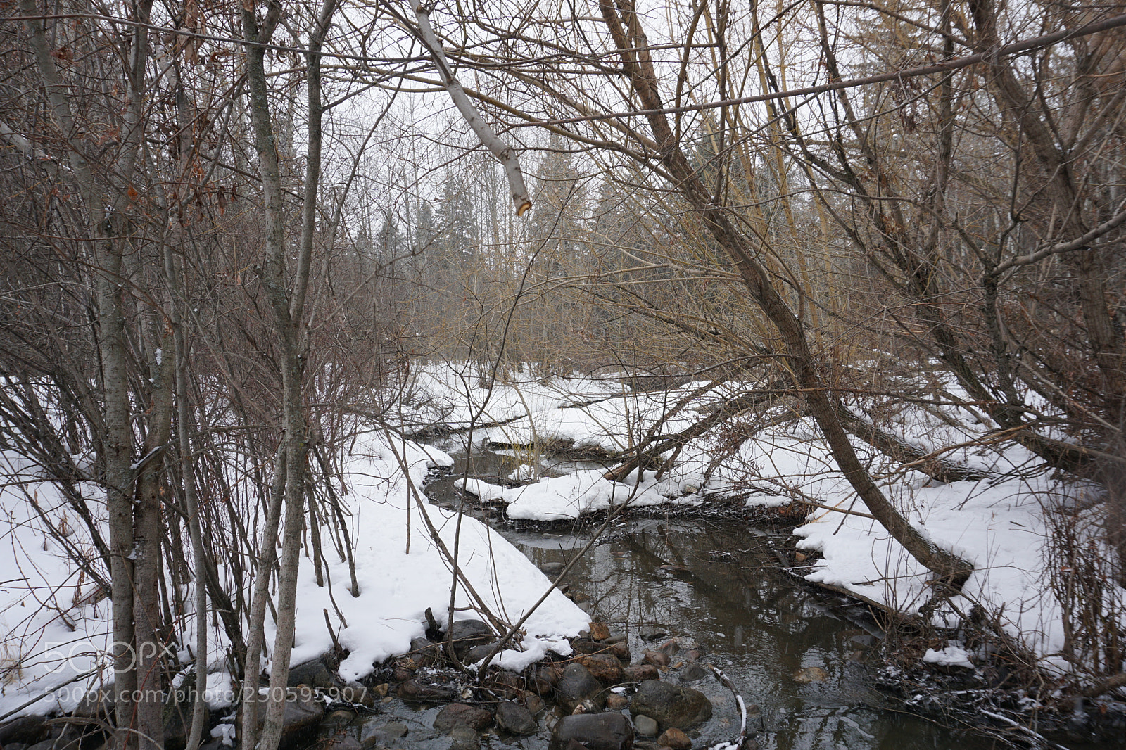 Sony a6000 sample photo. Warming up photography