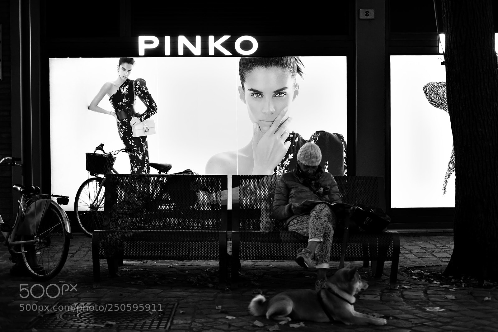 Fujifilm X-Pro2 sample photo. Panchina pinko pesaro dicembre photography