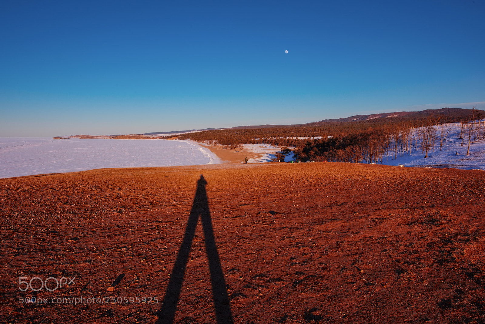 Nikon D810 sample photo. The shadow photography