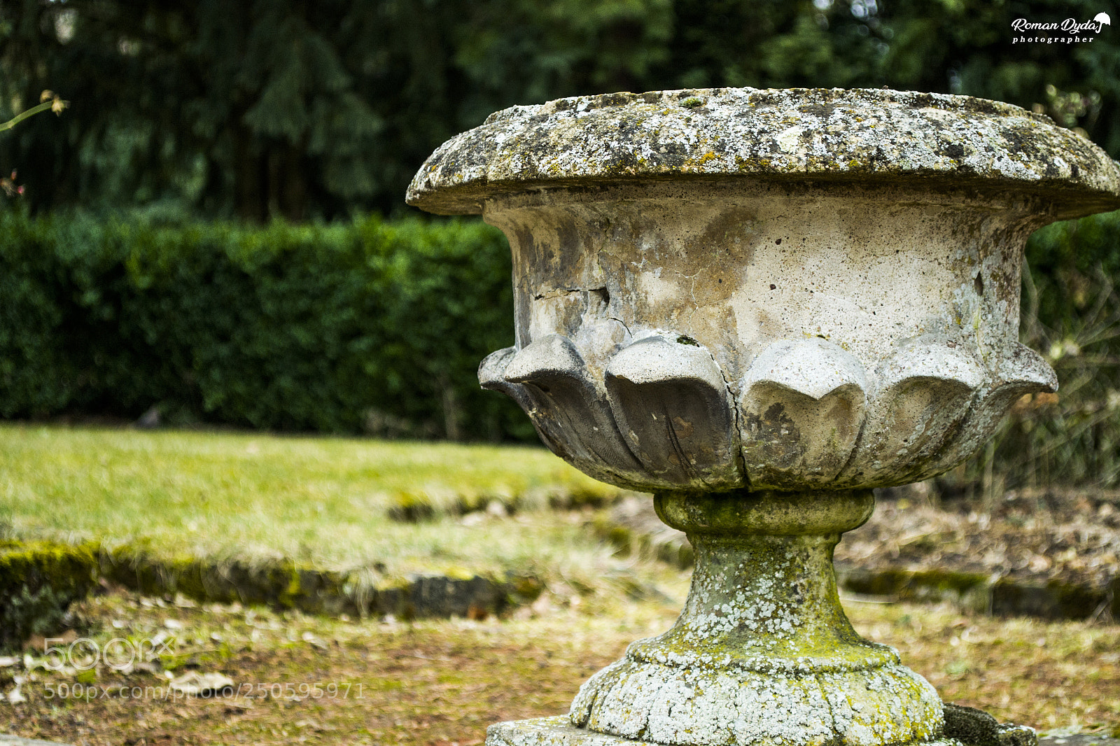 Nikon D3100 sample photo. Ancient. photography