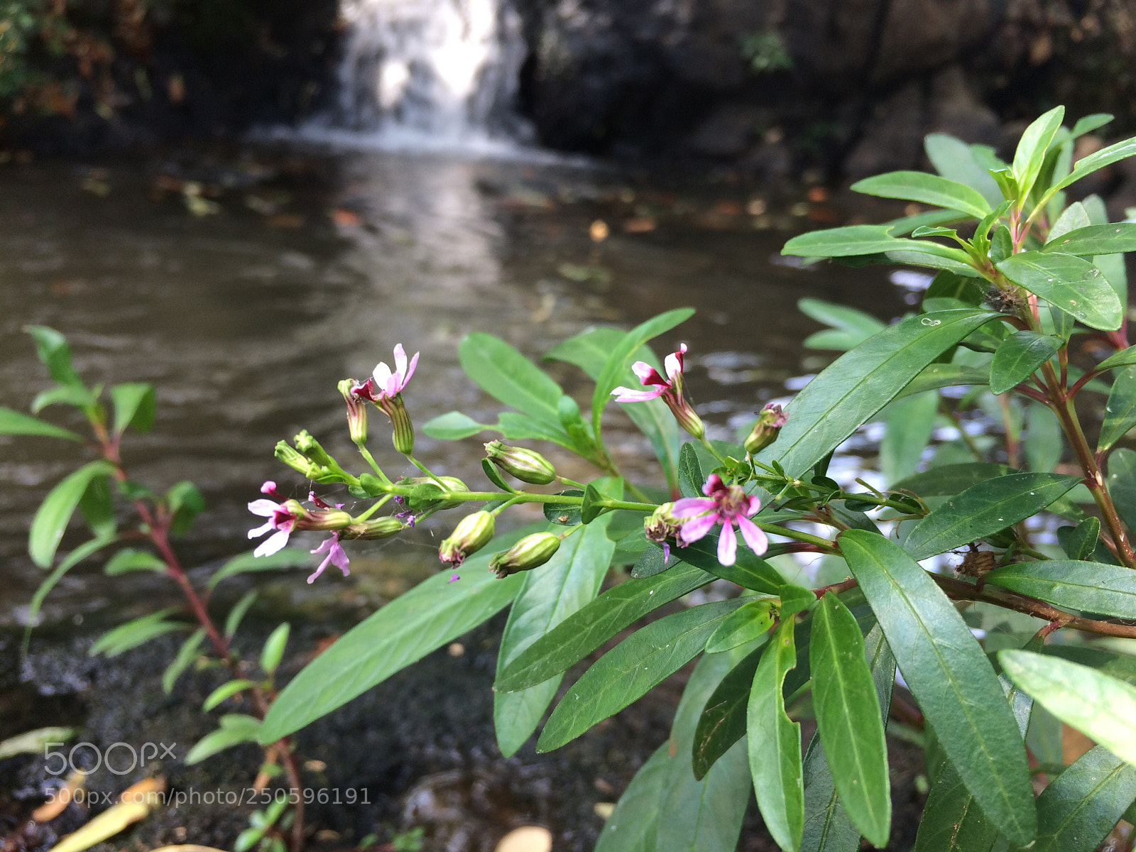 Apple iPhone 5s sample photo. Untitled photography