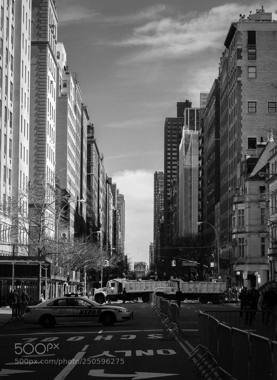 Canon EOS 200D (EOS Rebel SL2 / EOS Kiss X9) sample photo. Madison ave photography