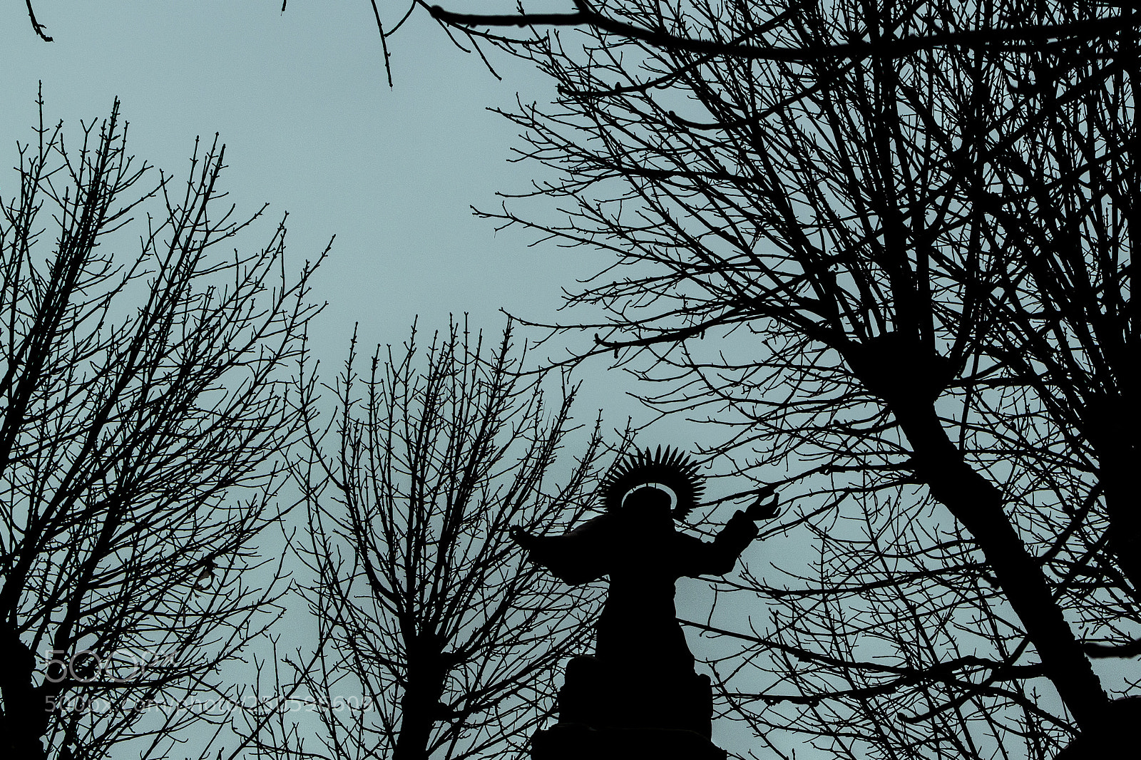 Nikon D5100 sample photo. Untitled photography