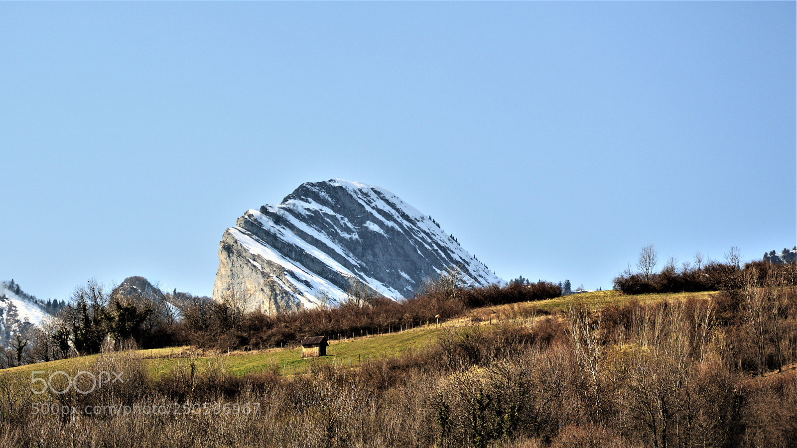 Nikon D3200 sample photo. Untitled photography