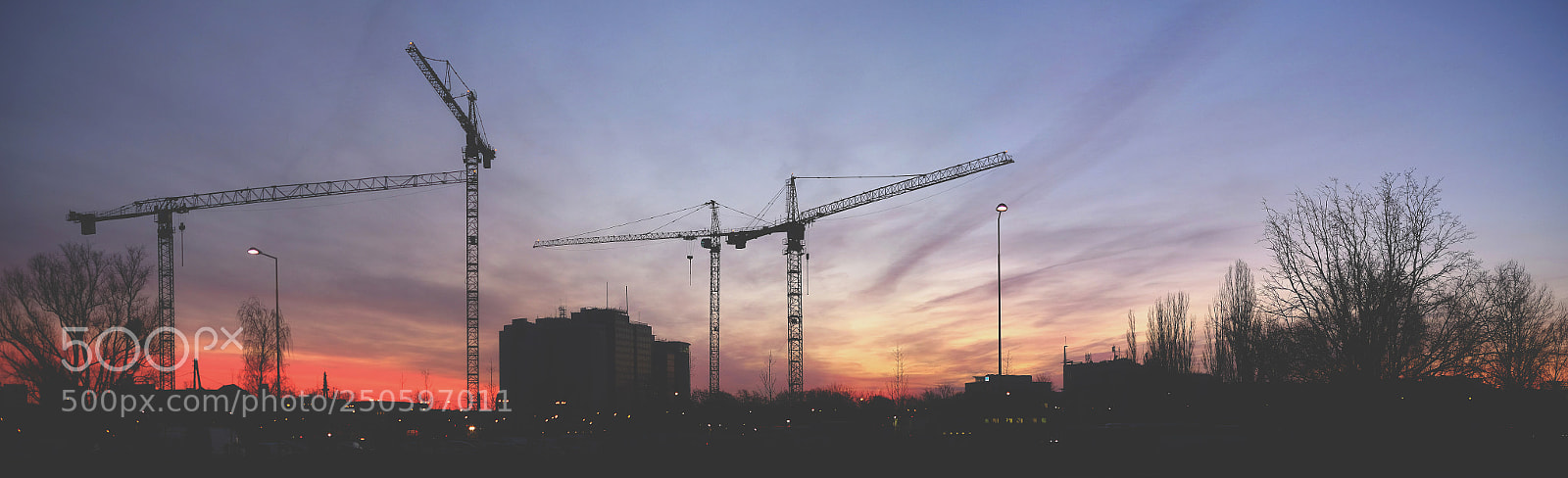 Fujifilm X-E2 sample photo. Cranes at sunrise panorama photography