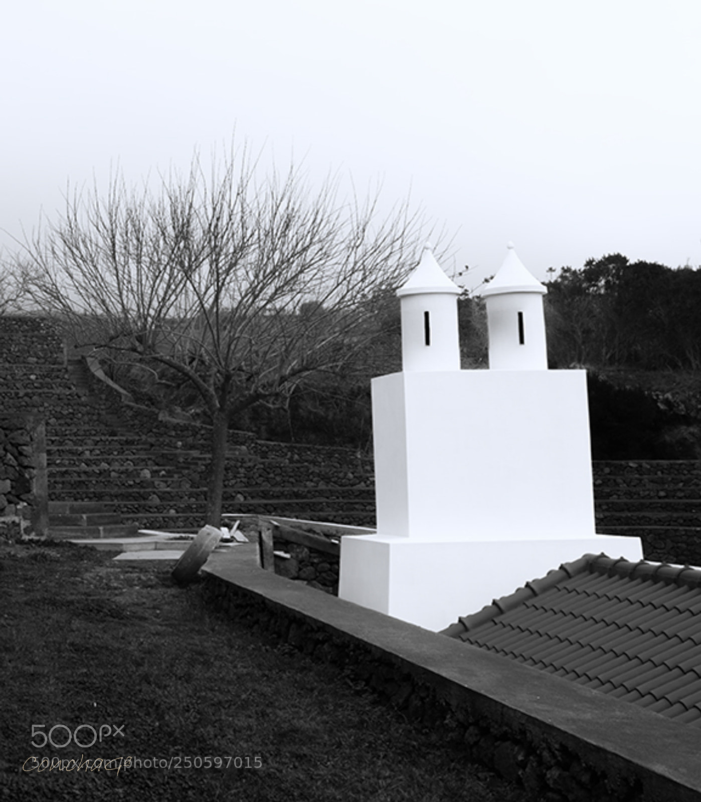 Nikon D5500 sample photo. Isla terceira. azoores photography