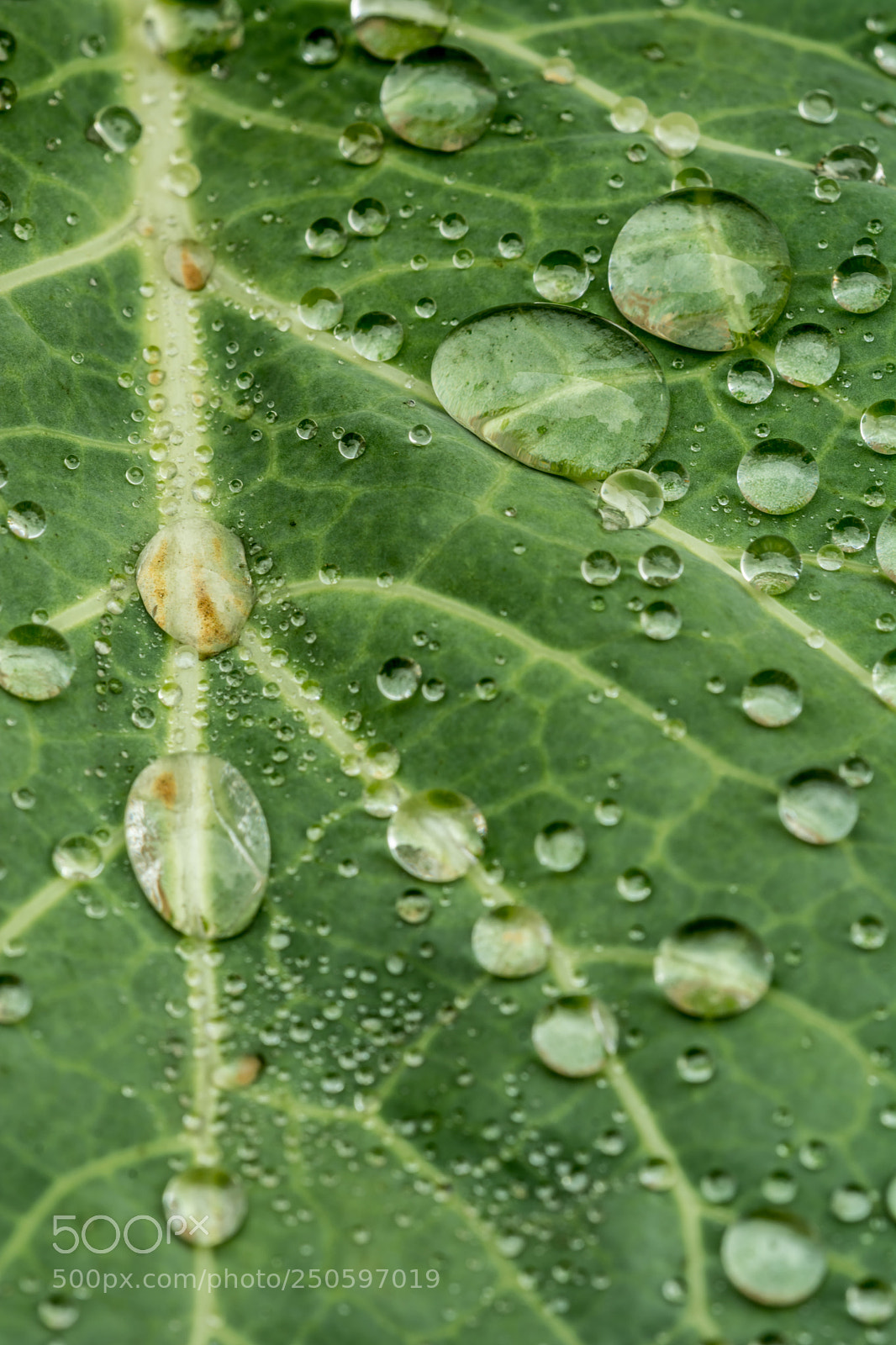 Nikon D7100 sample photo. Untitled photography