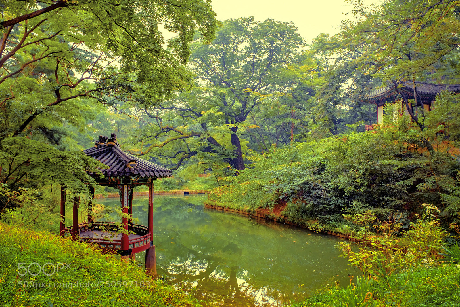 Fujifilm X100F sample photo. Royal garden photography