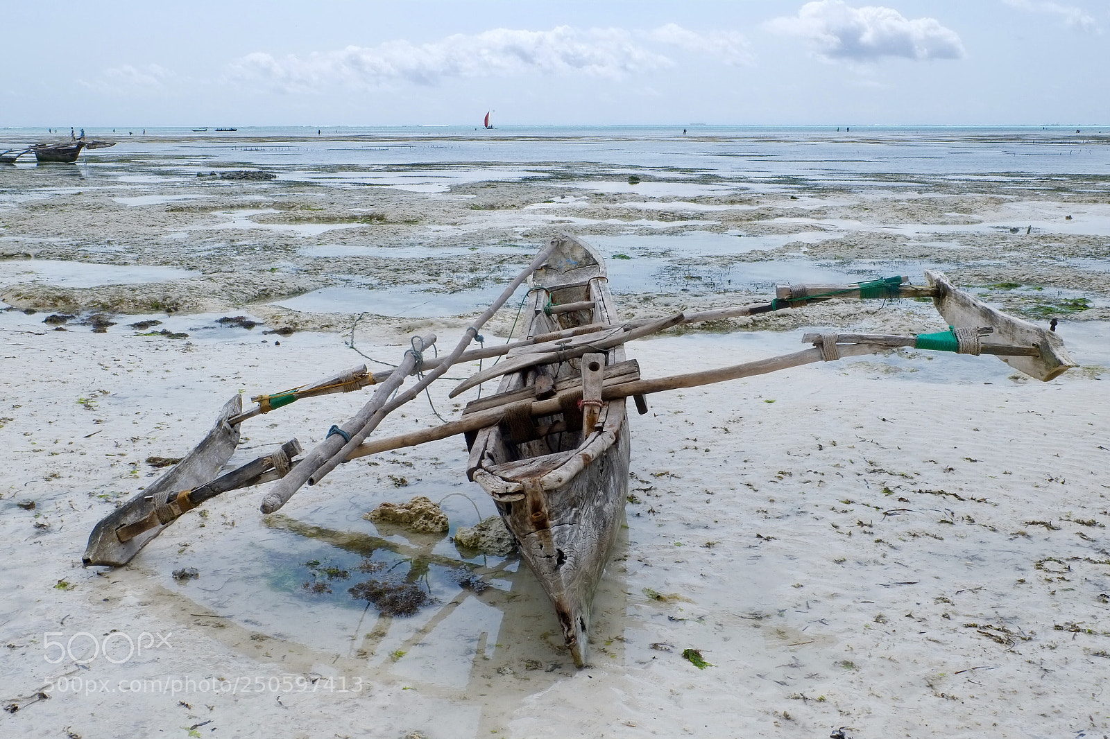 Fujifilm X-Pro1 sample photo. Zanzi photography
