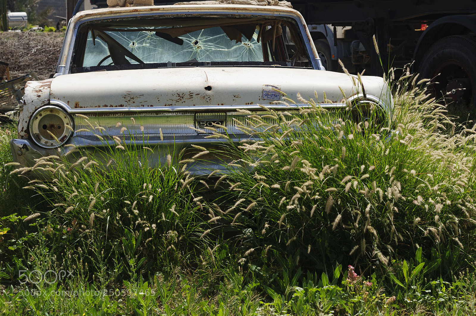 Nikon D300 sample photo. Untitled photography
