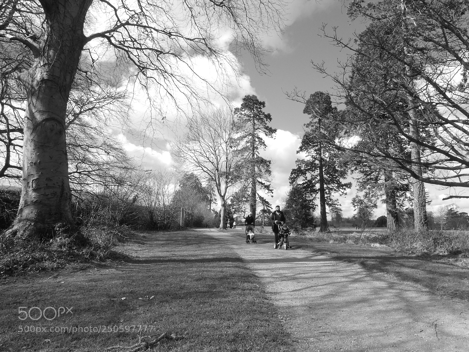 Panasonic DMC-TZ81 sample photo. Walking i photography