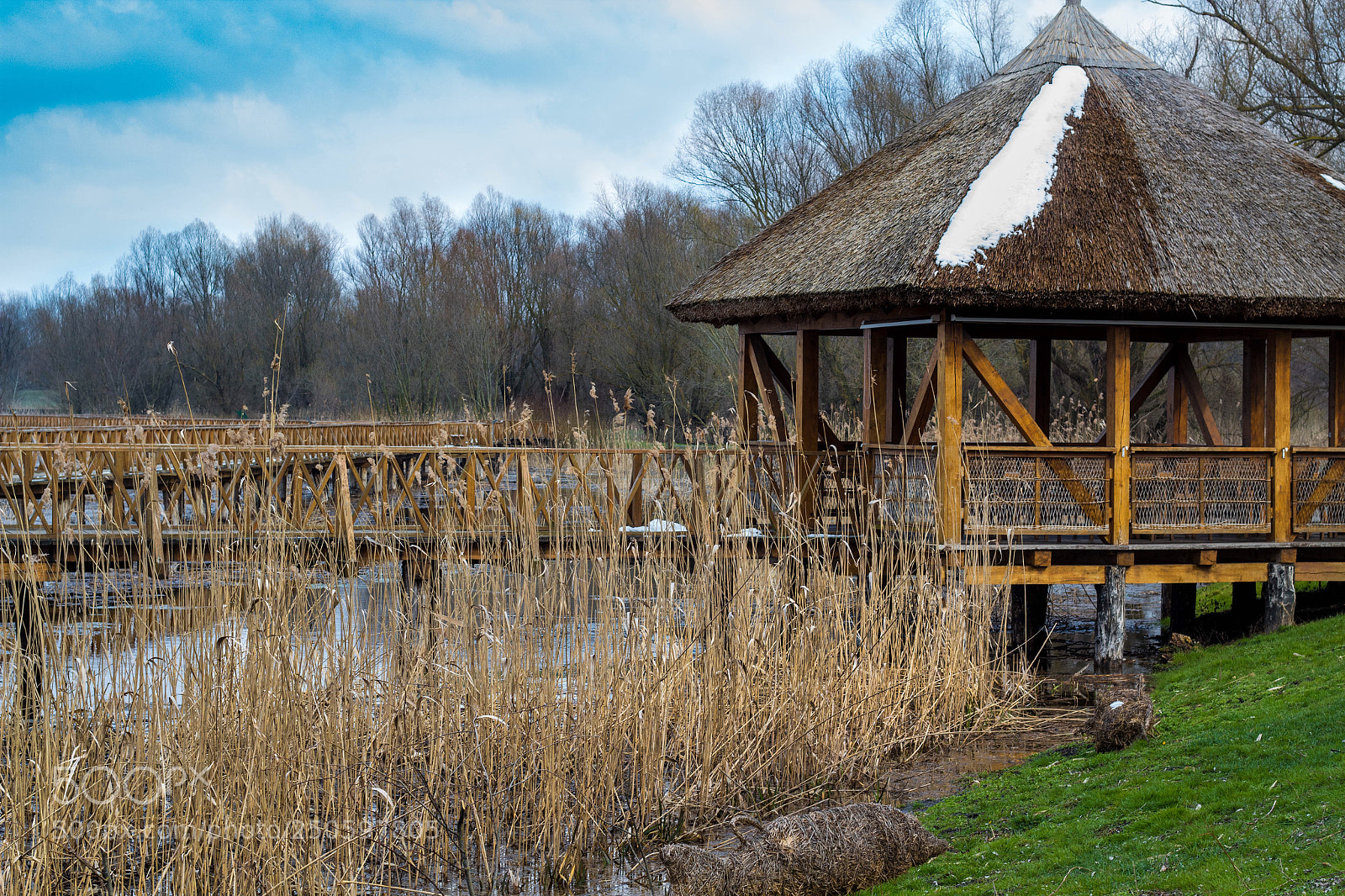 Canon EOS 1300D (EOS Rebel T6 / EOS Kiss X80) sample photo. Kopacki rit photography