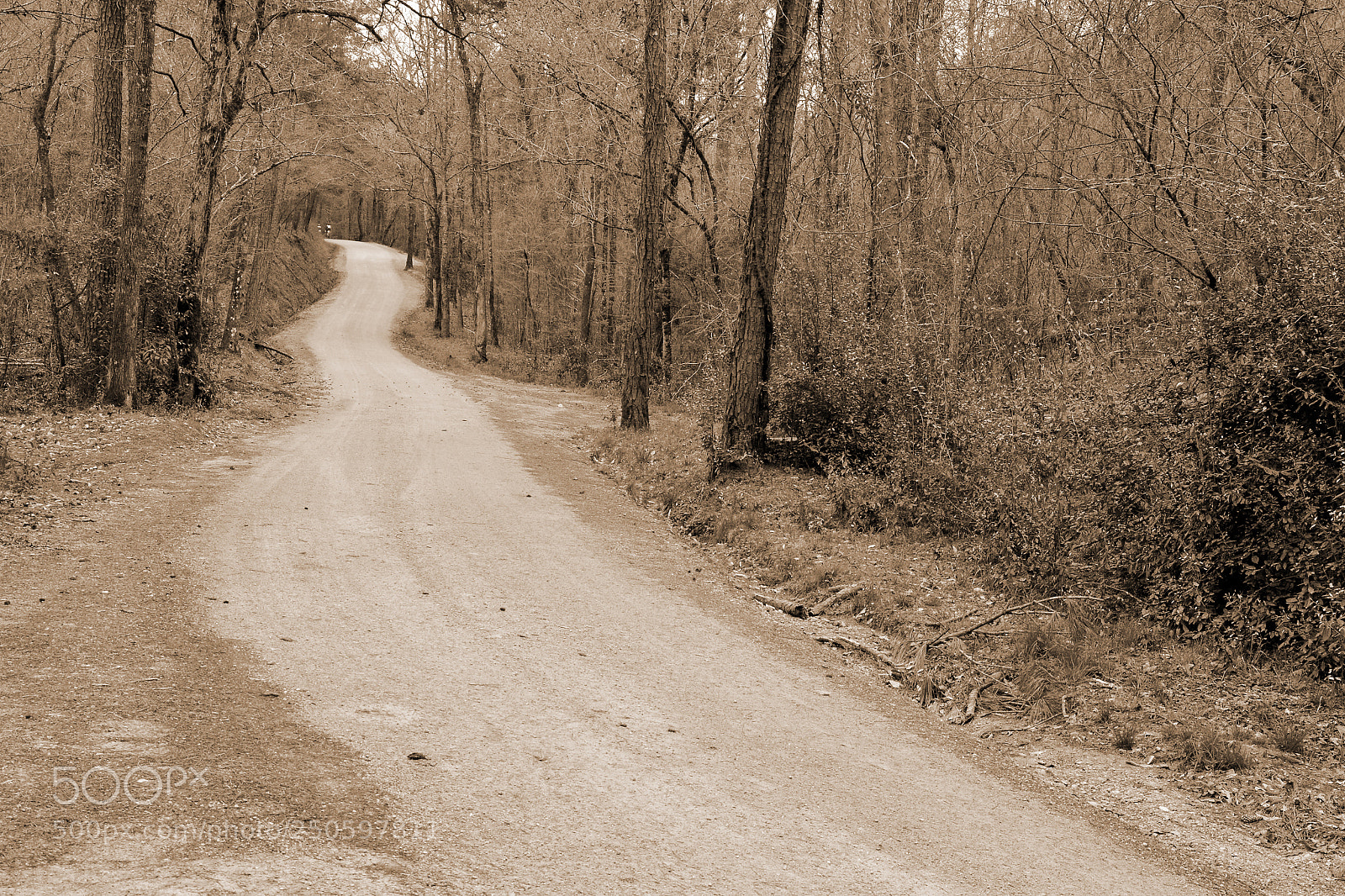 Nikon D7100 sample photo. Up the hill b photography