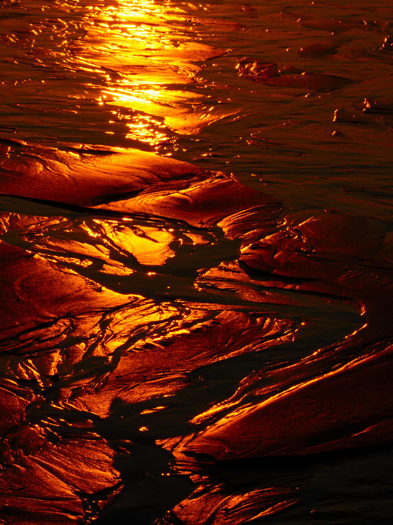 Canon EF-S 55-250mm F4-5.6 IS II sample photo. Sand... photography