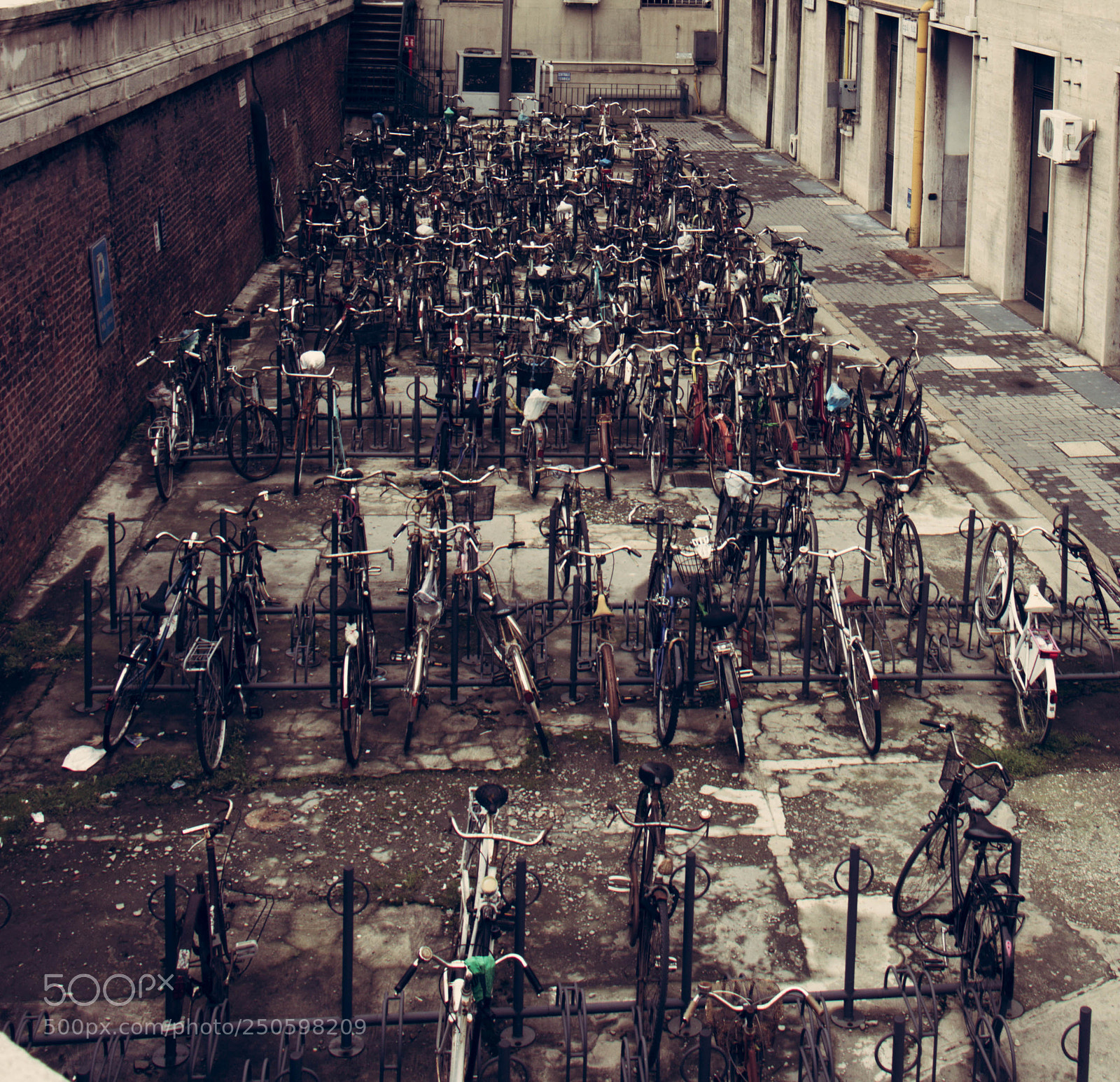 Canon EOS 77D (EOS 9000D / EOS 770D) sample photo. Bicycle photography