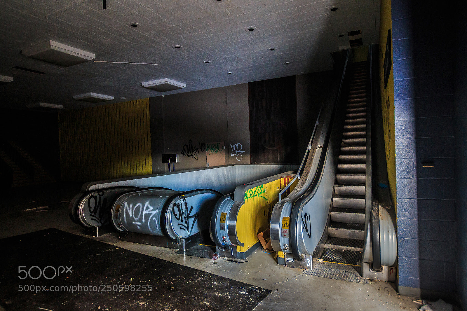 Canon EOS 70D sample photo. Going up or down ... photography