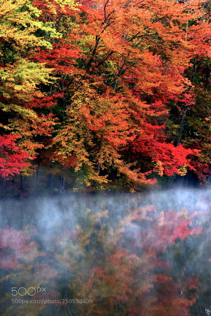 Nikon D810 sample photo. Misty fall reflection 2014 photography