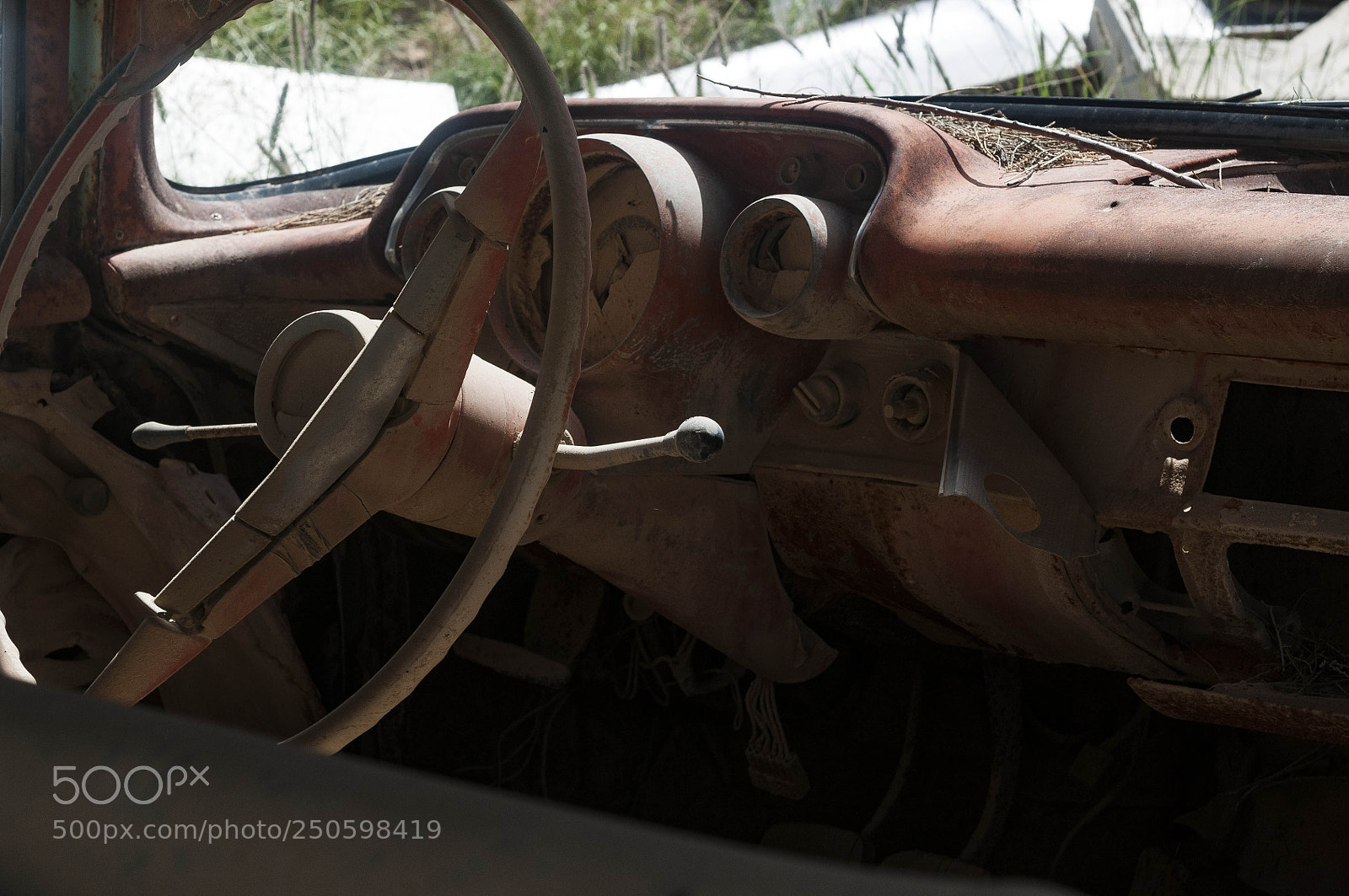 Nikon D300 sample photo. Untitled photography