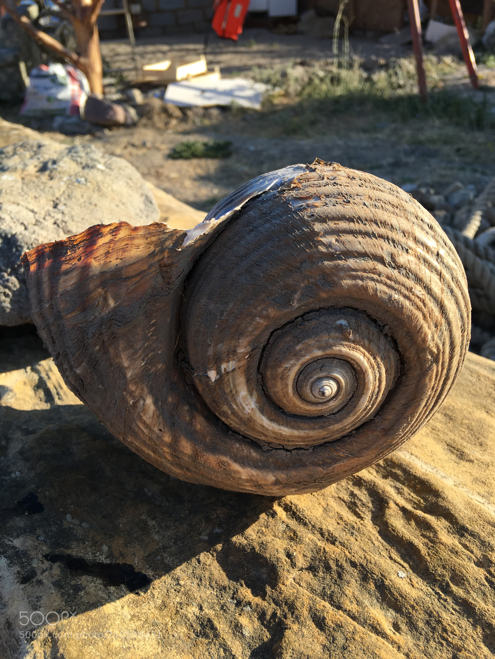 Apple iPhone 6s Plus sample photo. Perfection photography