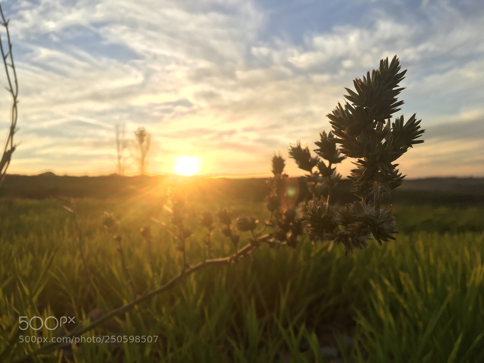 Apple iPhone 6s sample photo. Sunset at the nature!
 photography