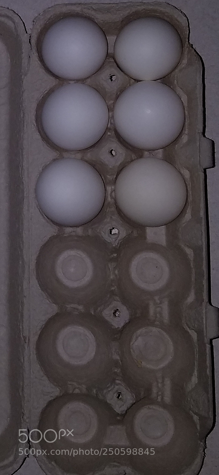 Samsung Galaxy S7 sample photo. Is the egg carton photography