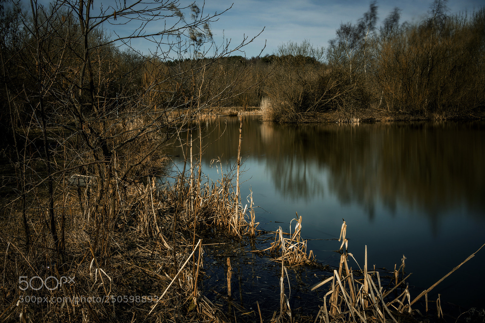 Sony a7R II sample photo. Local pond photography