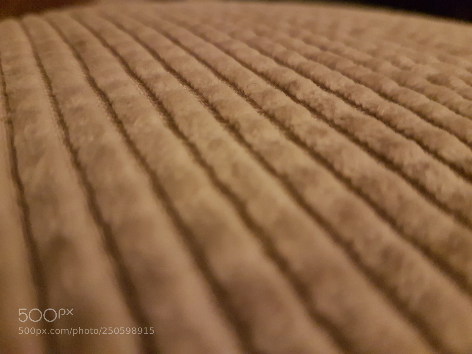 Samsung Galaxy S7 sample photo. Cord photography