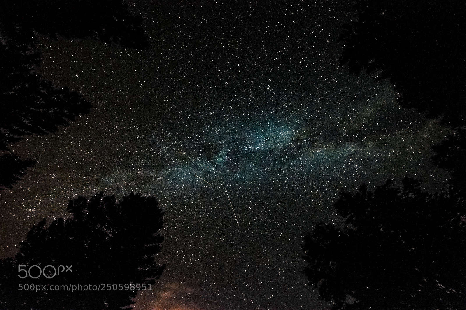 Nikon D7100 sample photo. Perseids above magura ma photography