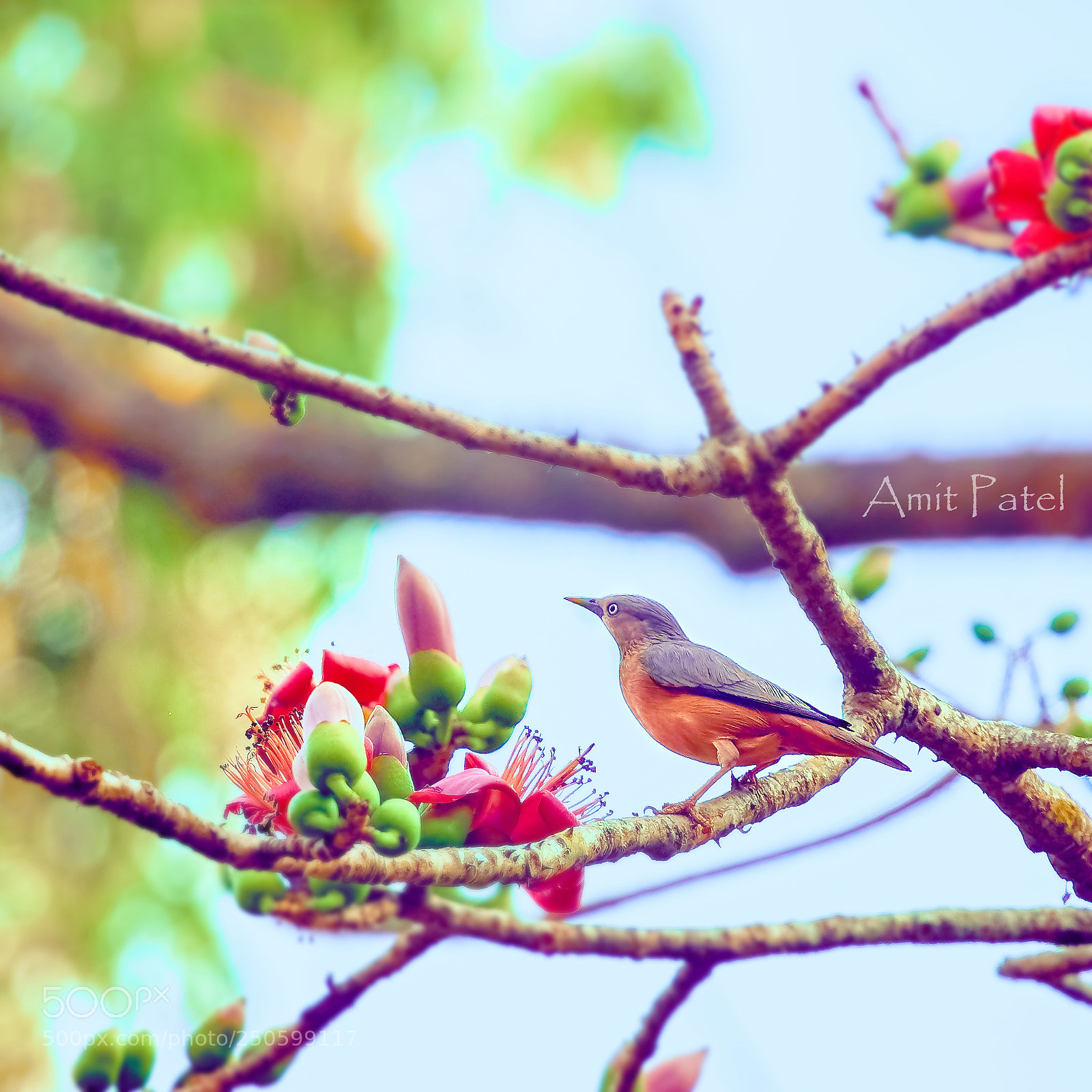 Sony a6000 sample photo. Untitled photography