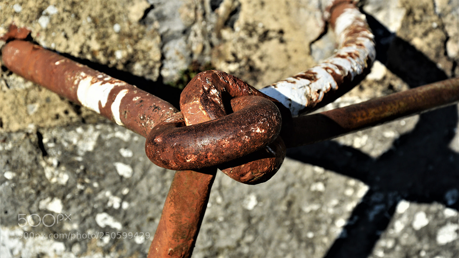 Nikon D3200 sample photo. Untitled photography