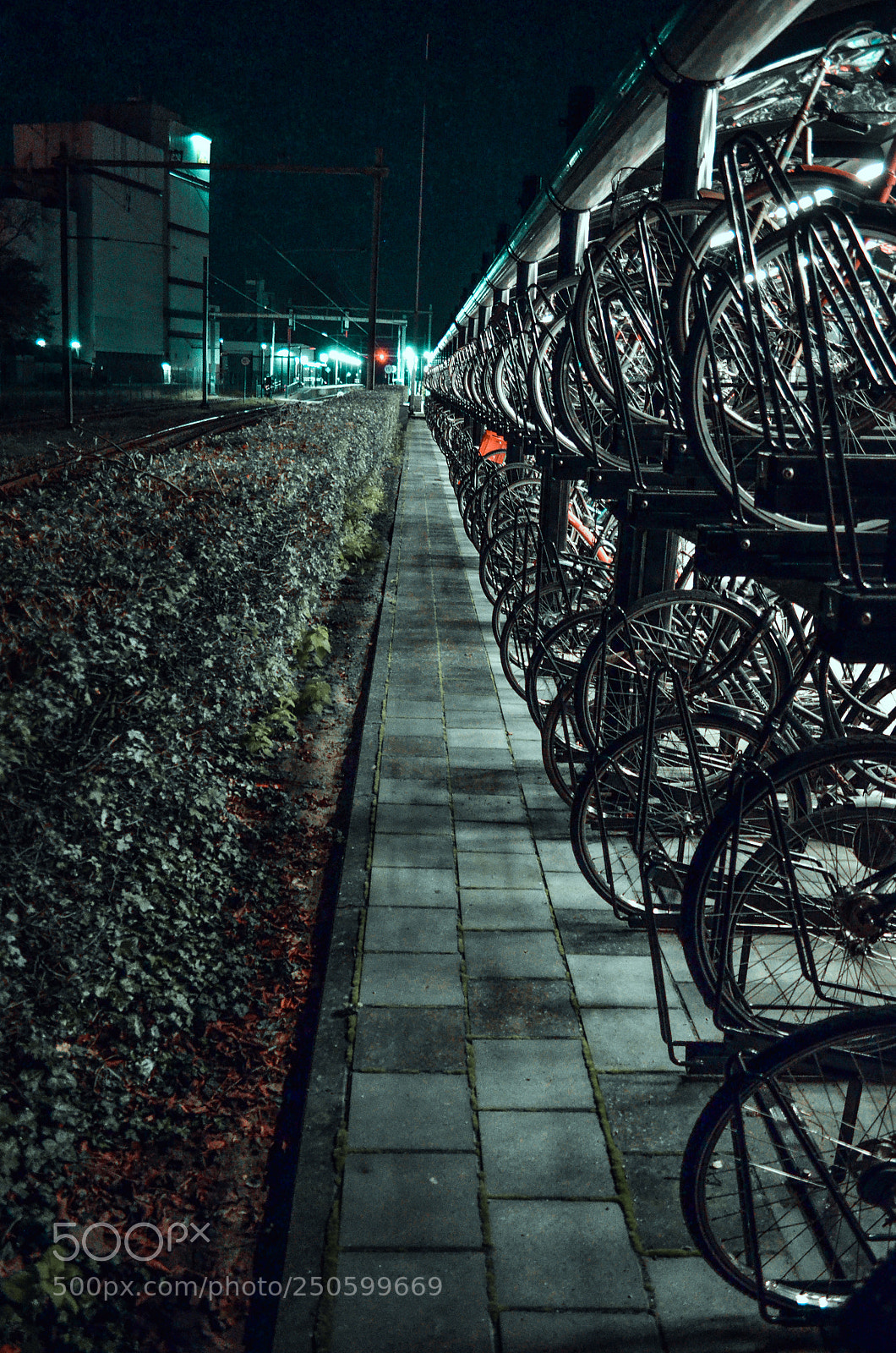 Nikon D5100 sample photo. Untitled click photography
