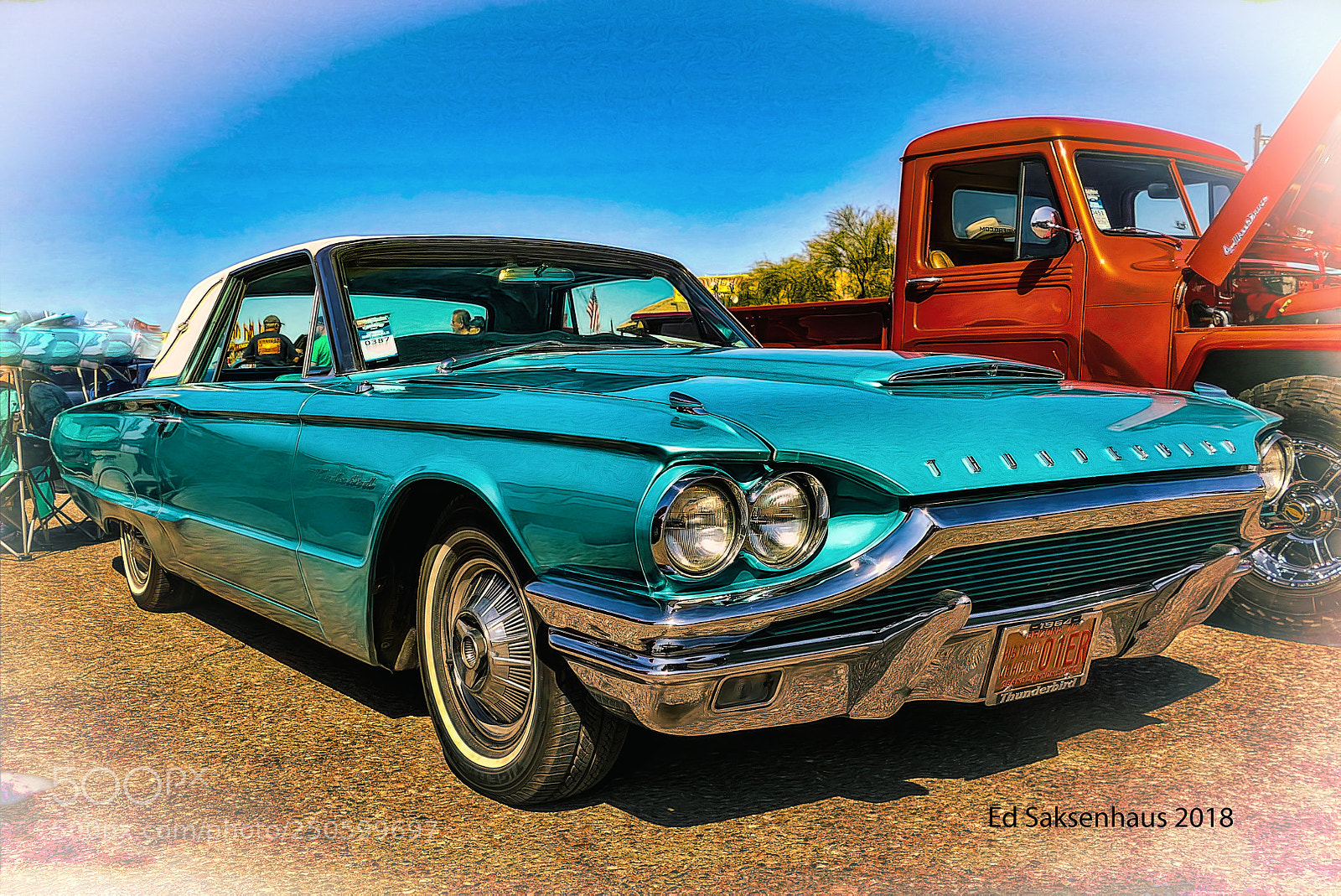 Panasonic Lumix DMC-FZ1000 sample photo. Thunderbird photography