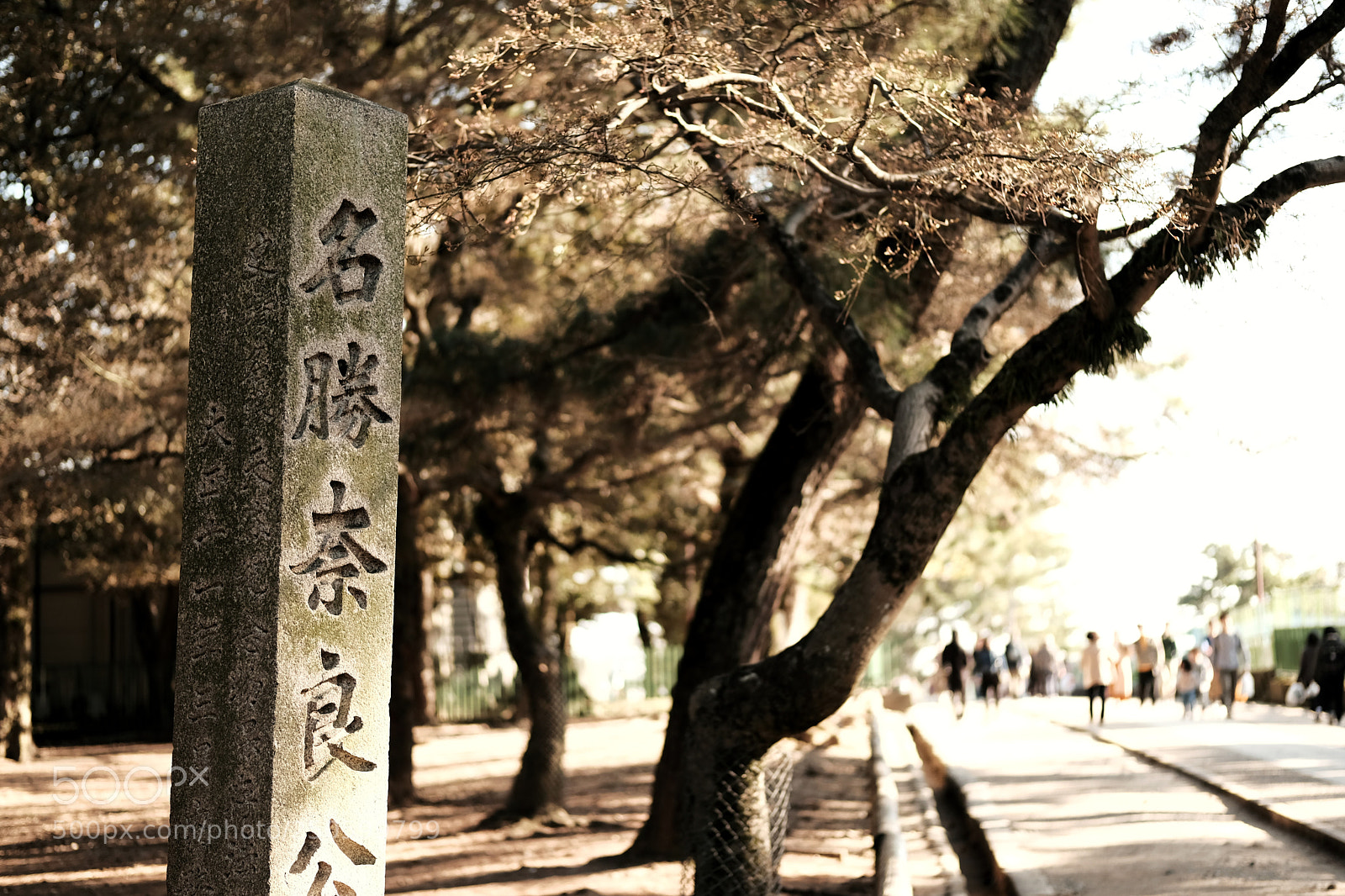 Fujifilm X-T2 sample photo. Getting lost in nara photography