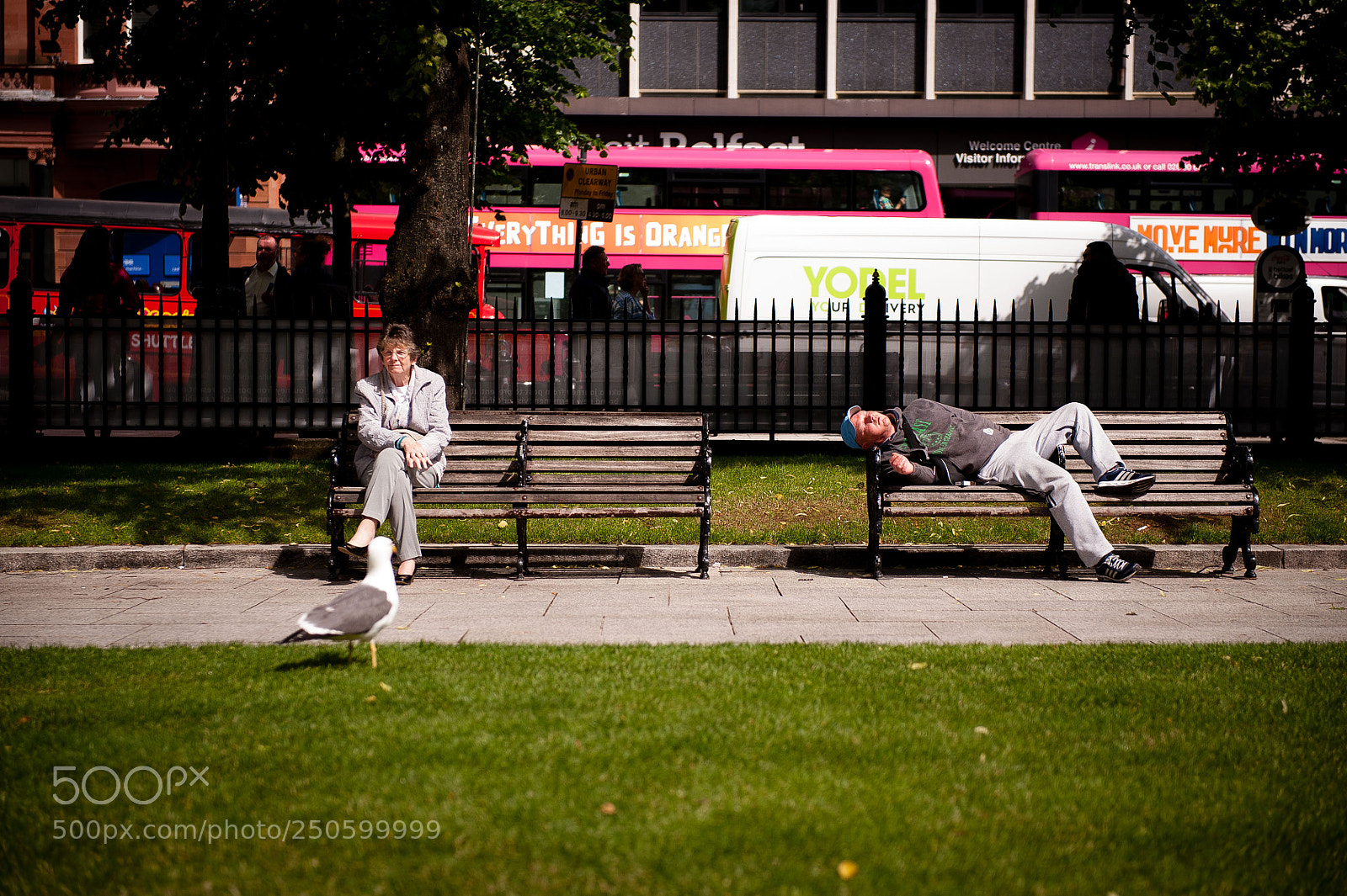 Nikon D3 sample photo. "that means another day" photography